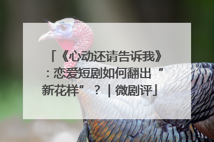 《心动还请告诉我》：恋爱短剧如何翻出“新花样”？｜微剧评