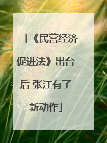 《民营经济促进法》出台后 张江有了新动作