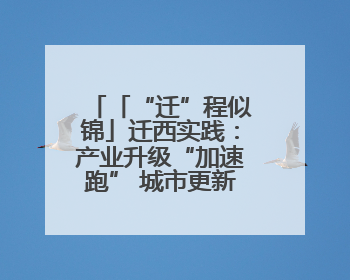 「“迁”程似锦」迁西实践：产业升级“加速跑” 城市更新“换新颜”
