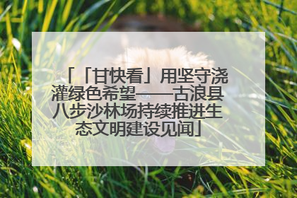 「甘快看」用坚守浇灌绿色希望——古浪县八步沙林场持续推进生态文明建设见闻