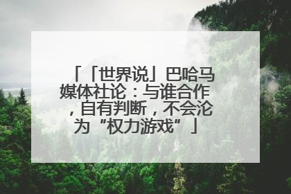 「世界说」巴哈马媒体社论：与谁合作，自有判断，不会沦为“权力游戏”
