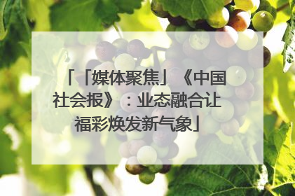 「媒体聚焦」《中国社会报》：业态融合让福彩焕发新气象