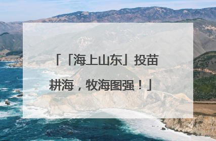「海上山东」投苗耕海，牧海图强！