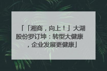 「湘商，向上！」大湖股份罗订坤：转型大健康，企业发展更健康