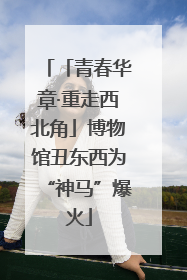 「青春华章·重走西北角」博物馆丑东西为“神马”爆火
