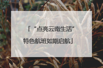 “点亮云南生活”特色航班如期启航
