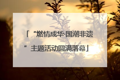 “燃情成华·国潮非遗”主题活动圆满落幕