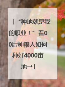 “种地就是我的职业！”看00后种粮人如何种好4000亩地→
