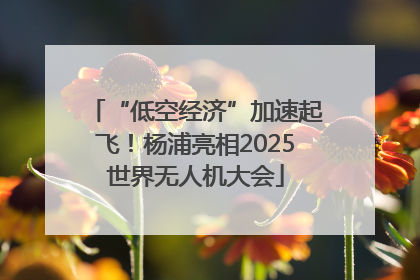 “低空经济”加速起飞!杨浦亮相2025世界无人机大会