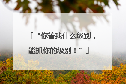 “你管我什么级别，能抓你的级别！”