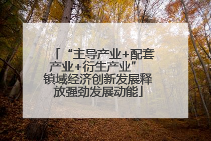 “主导产业+配套产业+衍生产业” 镇域经济创新发展释放强劲发展动能