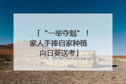 “一举夺魁”！家人手捧自家种植向日葵送考
