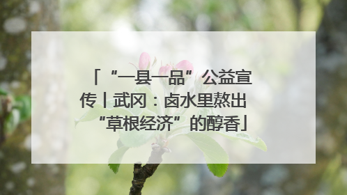 “一县一品”公益宣传丨武冈：卤水里熬出“草根经济”的醇香