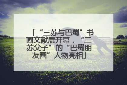 “三苏与巴蜀”书画文献展开幕，“三苏父子”的“巴蜀朋友圈”人物亮相