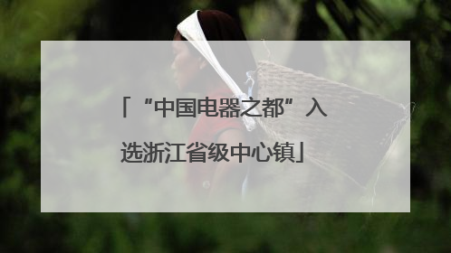 “中国电器之都”入选浙江省级中心镇