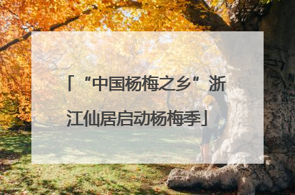 “中国杨梅之乡”浙江仙居启动杨梅季