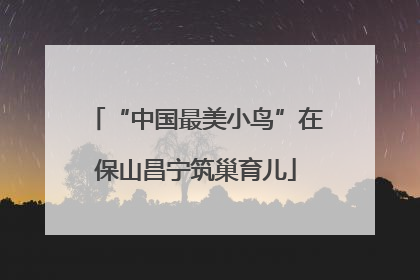 “中国最美小鸟”在保山昌宁筑巢育儿