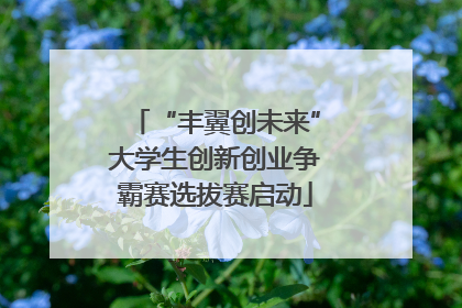 “丰翼创未来”大学生创新创业争霸赛选拔赛启动