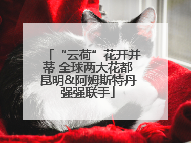 “云荷”花开并蒂 全球两大花都昆明&阿姆斯特丹强强联手