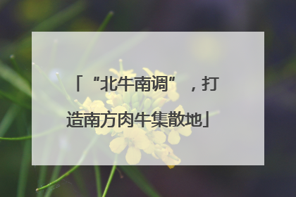 “北牛南调”，打造南方肉牛集散地