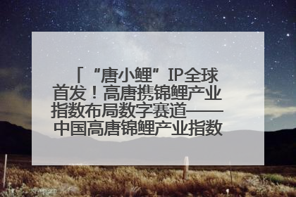 “唐小鲤”IP全球首发！高唐携锦鲤产业指数布局数字赛道——中国高唐锦鲤产业指数暨“唐小鲤”IP全球首发仪式在杭州举行
