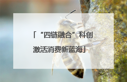 “四链融合”科创激活消费新蓝海