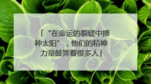 “在命运的裂缝中播种太阳”，他们的精神力量鼓舞着很多人