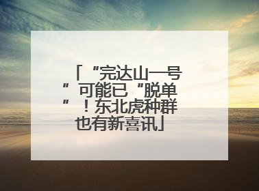 “完达山一号”可能已“脱单”！东北虎种群也有新喜讯
