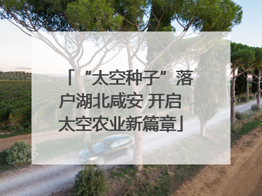 “太空种子”落户湖北咸安 开启太空农业新篇章