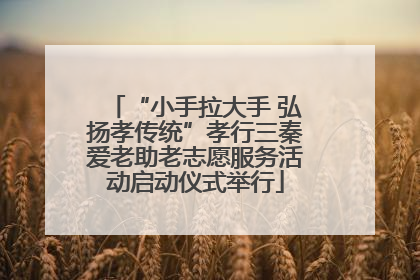 “小手拉大手 弘扬孝传统”孝行三秦爱老助老志愿服务活动启动仪式举行