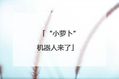 “小萝卜”机器人来了
