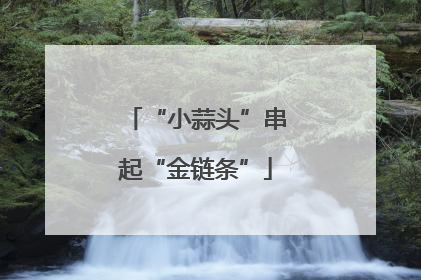 “小蒜头”串起“金链条”