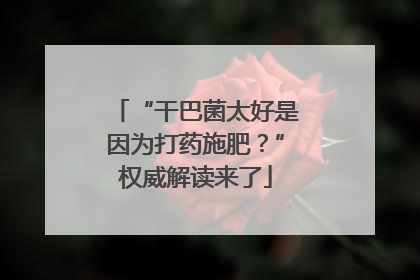“干巴菌太好是因为打药施肥？”权威解读来了