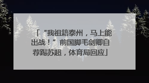 “我祖籍泰州，马上能出战！”前国脚毛剑卿自荐踢苏超，体育局回应