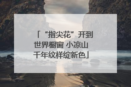 “指尖花”开到世界橱窗 小凉山千年纹样绽新色