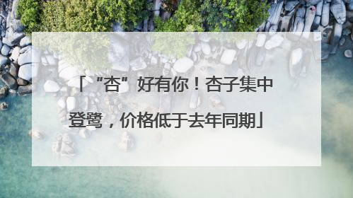 “杏”好有你！杏子集中登鹭，价格低于去年同期