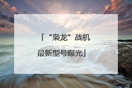 “枭龙”战机最新型号曝光
