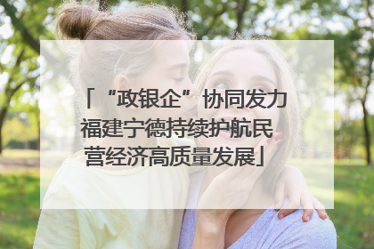 “政银企”协同发力 福建宁德持续护航民营经济高质量发展