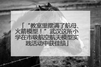 “教室里摆满了航母、火箭模型！”武汉这所小学在市级航空航天模型实践活动中获佳绩