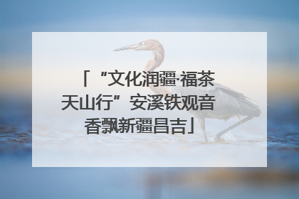 “文化润疆·福茶天山行”安溪铁观音香飘新疆昌吉