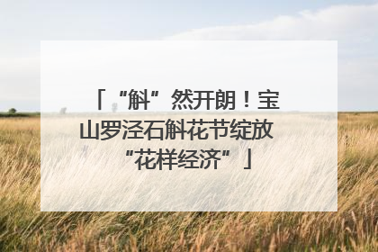 “斛”然开朗！宝山罗泾石斛花节绽放“花样经济”