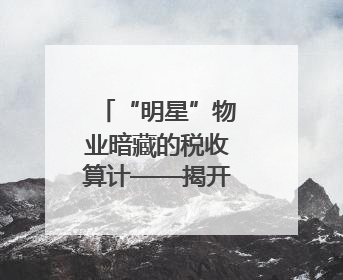 “明星”物业暗藏的税收算计——揭开怀化泰和物业服务有限公司隐匿未开票收入偷税真相