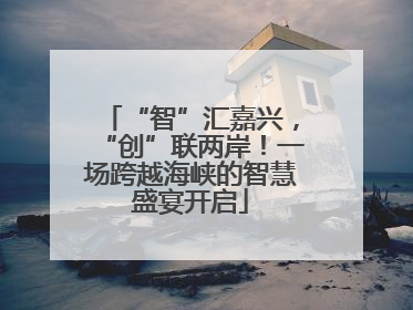 “智”汇嘉兴，“创”联两岸！一场跨越海峡的智慧盛宴开启