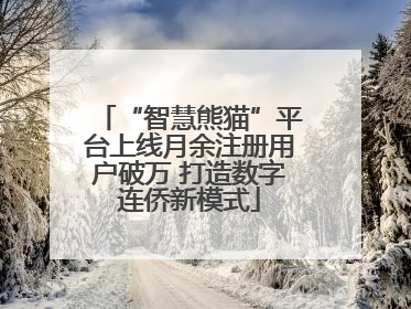 “智慧熊猫”平台上线月余注册用户破万 打造数字连侨新模式