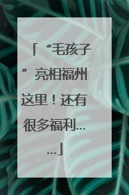 “毛孩子”亮相福州这里！还有很多福利……