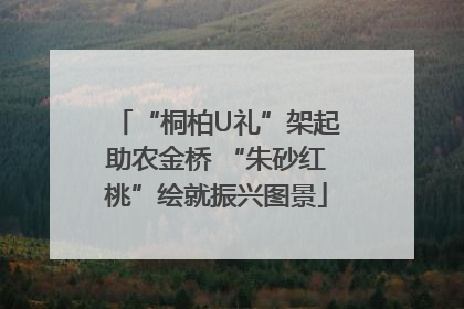 “桐柏U礼”架起助农金桥 “朱砂红桃”绘就振兴图景