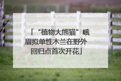 “植物大熊猫”峨眉拟单性木兰在野外回归点首次开花