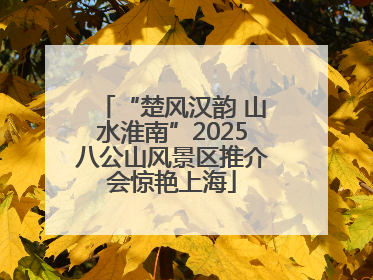 “楚风汉韵 山水淮南”2025八公山风景区推介会惊艳上海