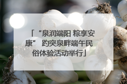 “泉润端阳 粽享安康” 趵突泉畔端午民俗体验活动举行