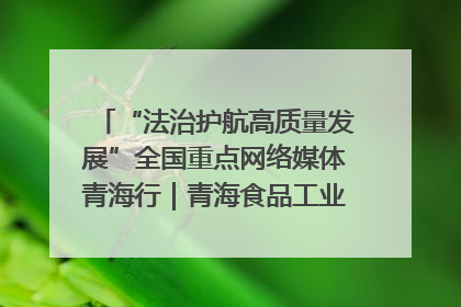 “法治护航高质量发展”全国重点网络媒体青海行｜青海食品工业协会：架起“青字号”美食的产业化桥梁